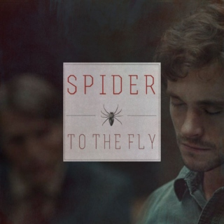 Spider To The Fly