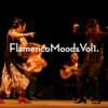 Flamenco_Moods_Vol1.