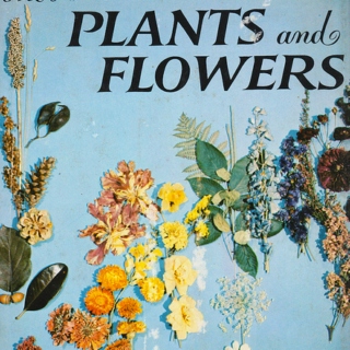 Plants and flowers