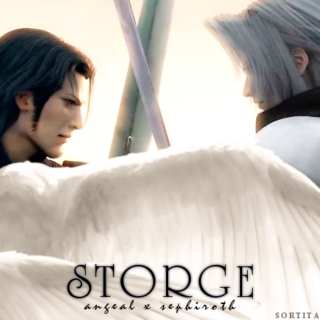STORGE ;; angeal x sephiroth