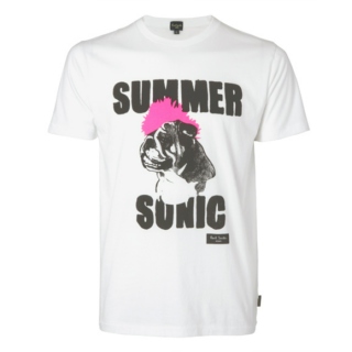 Summer Sonic 2013 Primer (Sun)