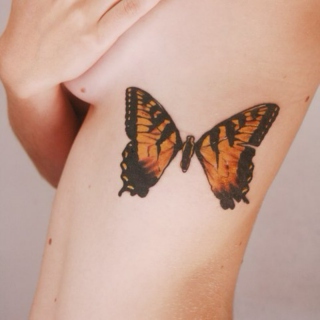 stomp on butterflies +