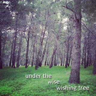Under The Wise Wishing Tree