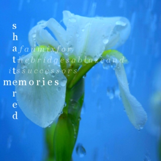 shattered memories;