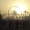 Coachella 2014 Wishlist