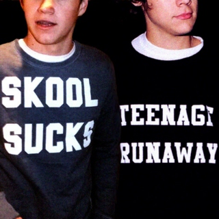 Roadtrip with Narry