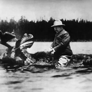 Teddy Roosevelt on a Moose 