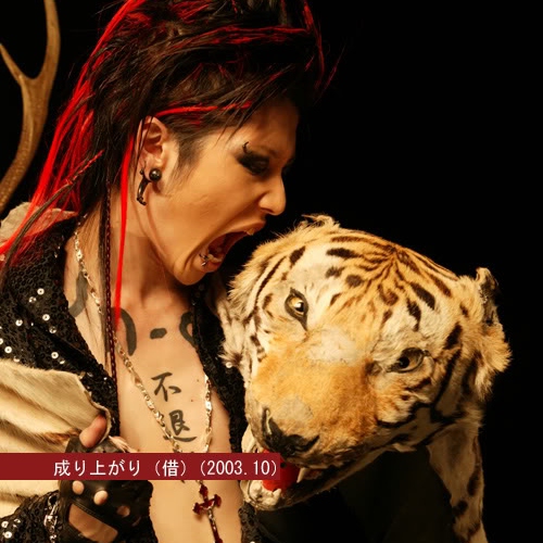 Miyavi yelling at a tiger's head