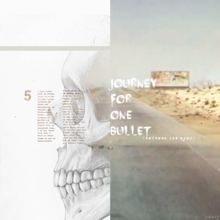 Journey For One Bullet