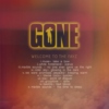 welcome to the fayz: gone fanmix