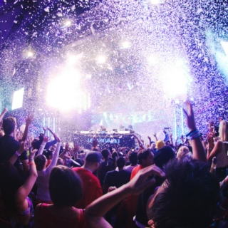EDM Vegas Tomorrowland EDC Party Hard