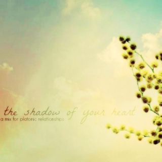 the shadow of your heart
