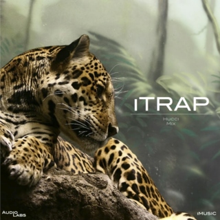 iTRAP: Hucci Mix