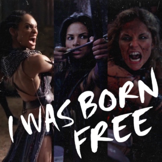 i was born free
