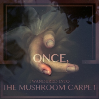 Once, I Wandered Into the Mushroom Carpet