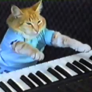 rip keyboard cat 