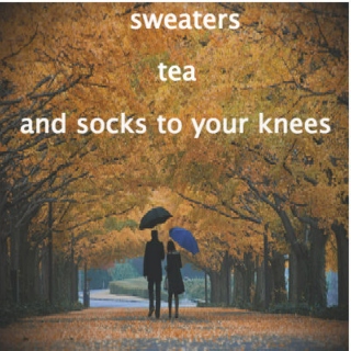 Sweaters, Tea, and Socks to your Knees
