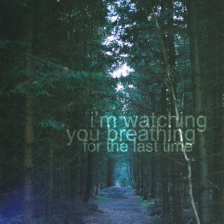 I'm watching you breathing for the last time.