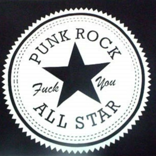  i like a punk rock chick 