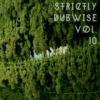 Strictly Dubwise Vol. 10: Dub 45's