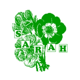 Sarah Records Mix