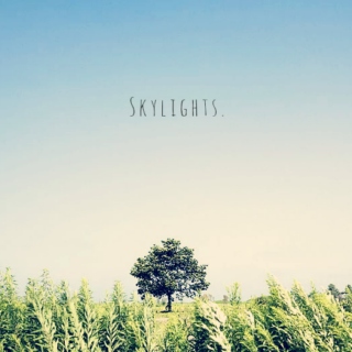 Skylights.
