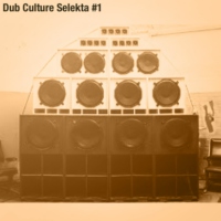 Dub Culture Selekta # 1