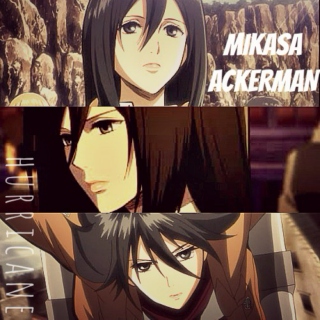 Featured image of post Mikasa Collage / It&#039;s where your interests connect you with your people.