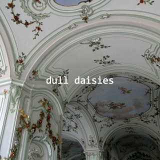 dull daisies
