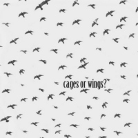 cages or wings?
