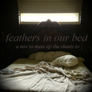 Feathers In Our Bed