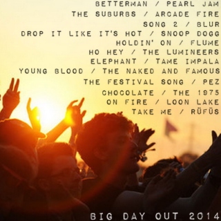 Big Day Out 2014
