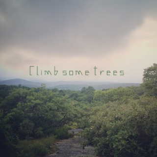 Climb Some Trees