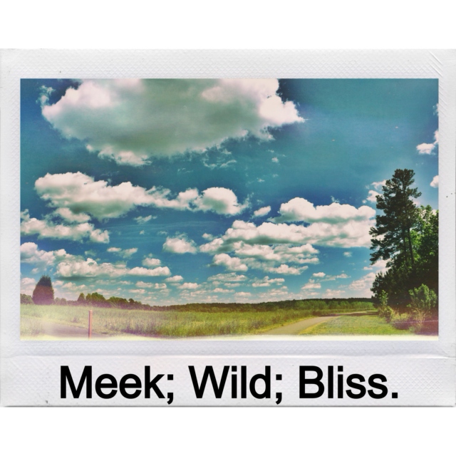 meek and wild with bliss.