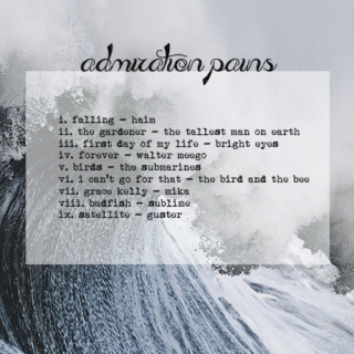 admiration [p a i n s]