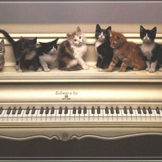 So I heard you like the piano