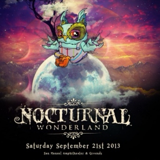 Nocturnal Wonderland 2013