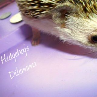 Hedgehog's Dilemma