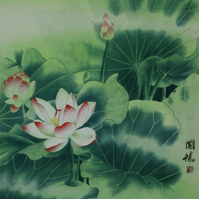 Lotus flower: painting our own veil