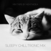 Sleepy Chilltronic Mix