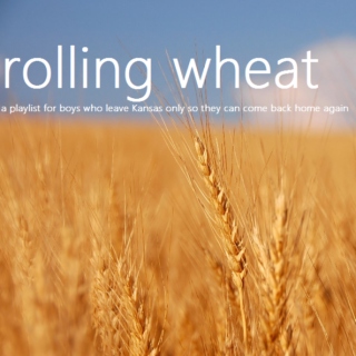 rolling wheat