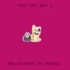 your cat and i are eloping to mexico