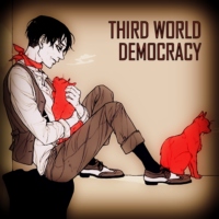 THIRD WORLD DEMOCRACY