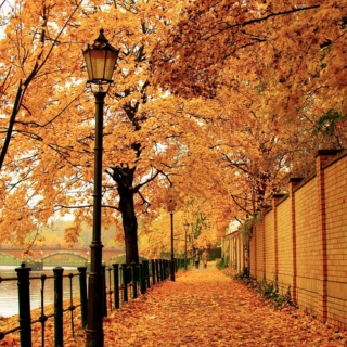 autumn walk soundtrack