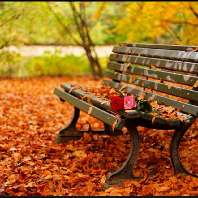 Autumn Love 