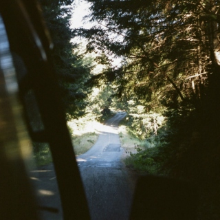 road trip through the woods