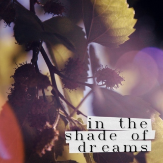 in the shade of dreams