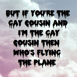 But If You're The Gay Cousin, And I'm The Gay Cousin, Who's Flying The Plane?