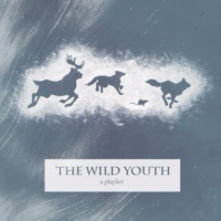 the wild youth
