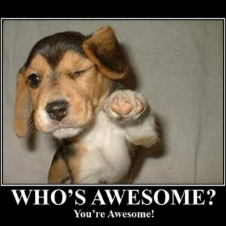 You. Are. Awesome